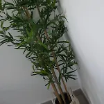 Sun 312 Apartment *