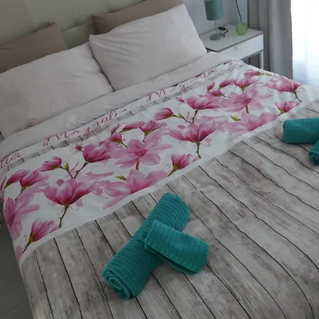 Sun 312 * 코라레호