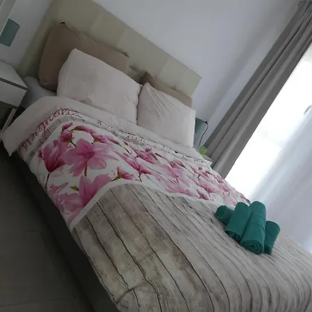 Sun 312 * 코라레호