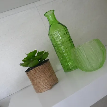 Sun 312 코라레호