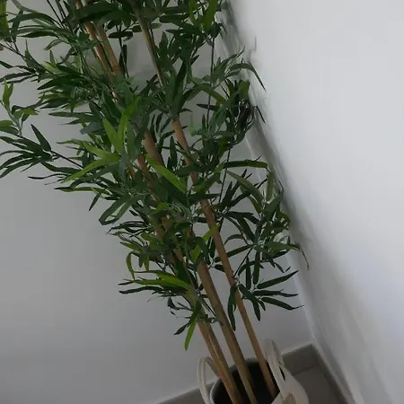 Sun 312 Appartamento *