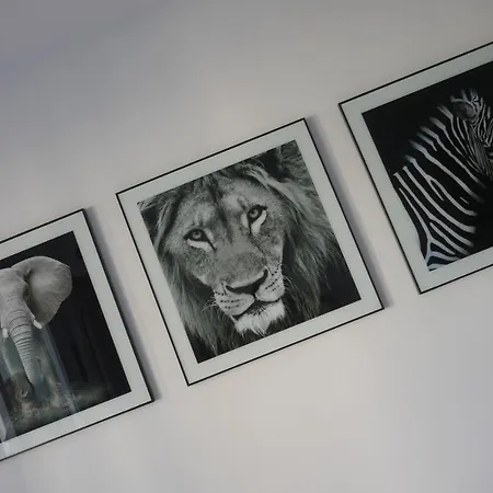 Sun 312 Apartamento *