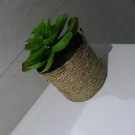 Apartmán Sun 312 *